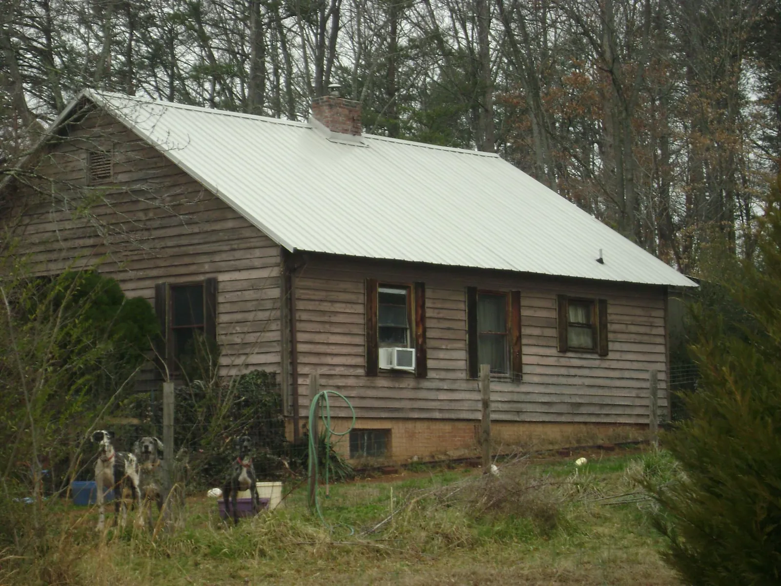 White metal roof on an old wood sided farmhouse, from a Asphalt Shingle Roof Repair job in Shinnston